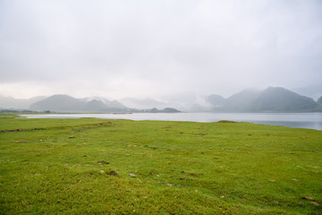 汽车标志唐是什么牌子？