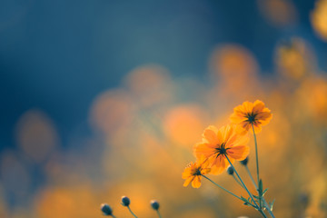 乒乓球球在对面可以触桌几次