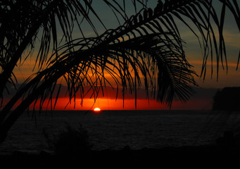 乒乓球球在对面可以触桌几次