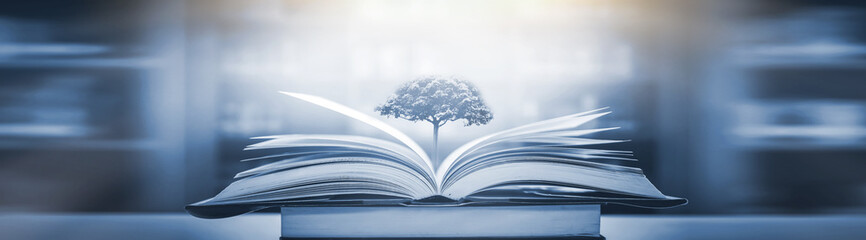 中国十佳运动员名单