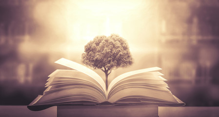 你们觉得奇瑞汽车怎么样？