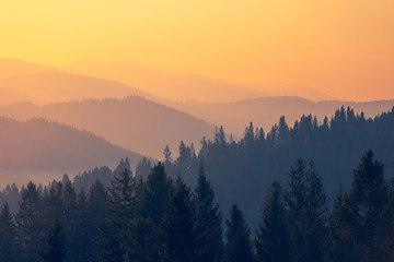 国产车拥有迈巴赫体验