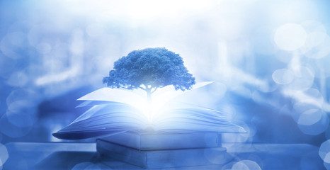 女团比赛中为什么感觉陈梦比不上搭档王曼昱？