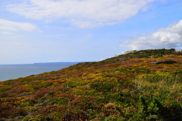 国产车可以媲美荣放