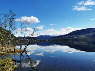 汽车标志唐是什么牌子？