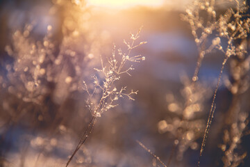 东京奥运会乒乓球混双冠军是谁