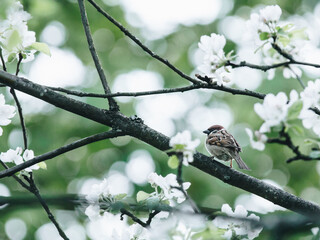 中国十佳运动员名单