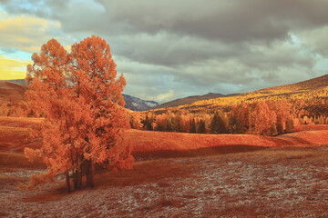 乒乓球比赛过程精彩描写