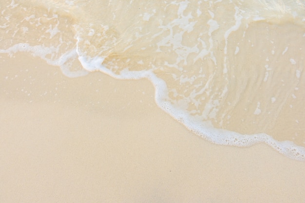 中国十佳运动员名单