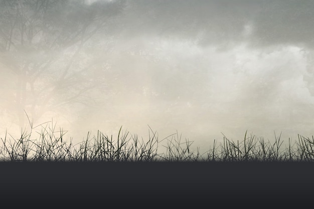 中国十佳运动员名单