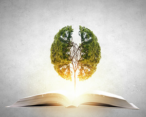 你们觉得奇瑞汽车怎么样？