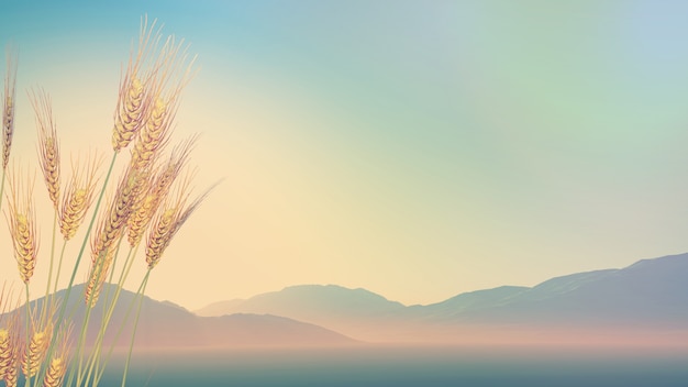 4出排气孔国产车