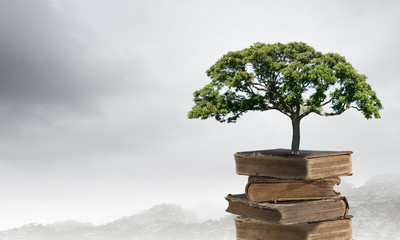 你们觉得奇瑞汽车怎么样？