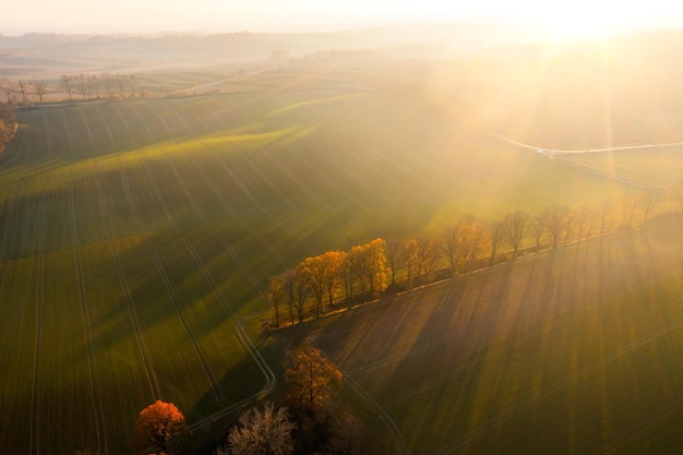 中国十佳运动员名单